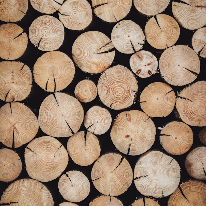 Traditioneller Vollholzbau mit Blockbohlenkonstruktion, steilem Satteldach und Naturstein-Elementen – ökologisches Bauen mit regionalem Hand